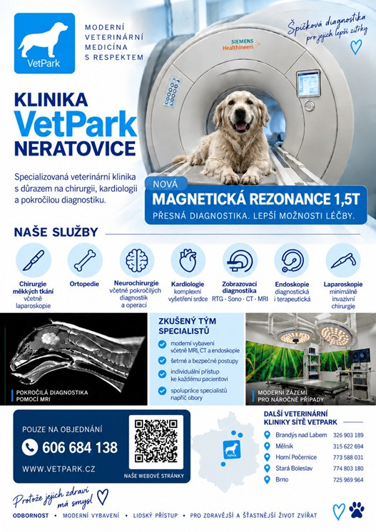 KLINIKA_NERATOVICErtxt19461.jpg KLINIKA_NERATOVICErtxt19461.jpg