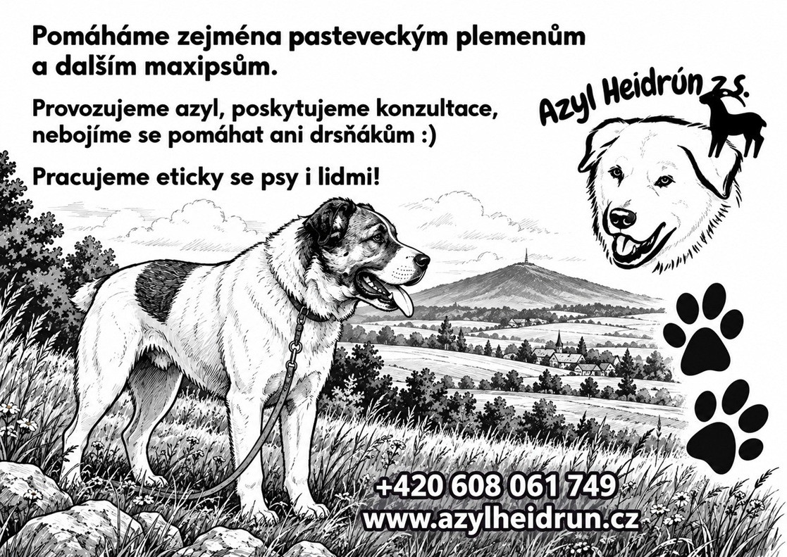 azylheidrun_reklama_zmensenertxt19466.jpg azylheidrun_reklama_zmensenertxt19466.jpg