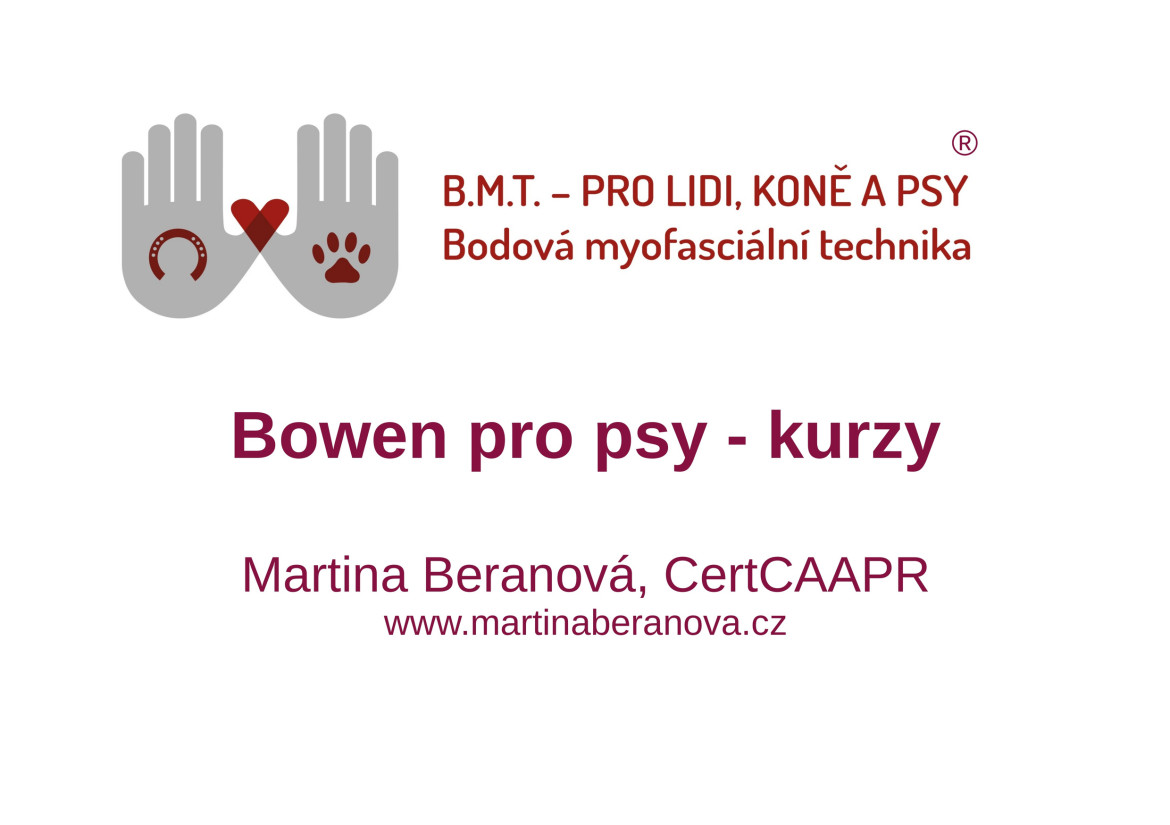 beranova_bowenrtxt19463.jpg beranova_bowenrtxt19463.jpg