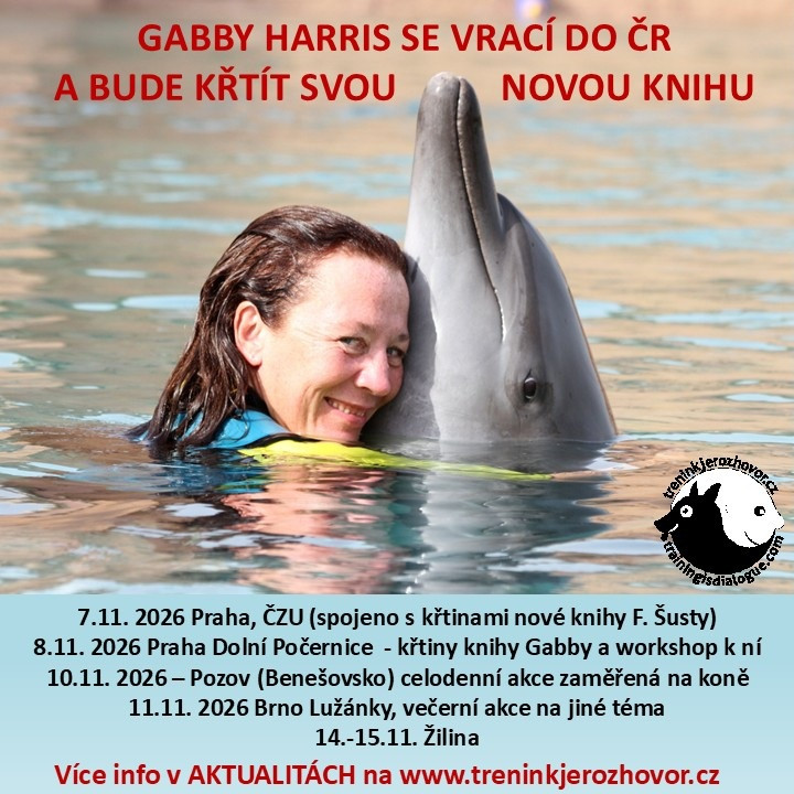 gabby_v_cr_26rtxt19446.jpg gabby_v_cr_26rtxt19446.jpg
